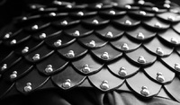 Leather Armor<br><br>
<a href="http://pixels.com/featured/leather-armor-thomas-parsons.html">Purchase Prints</a>