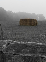 Foggy Morning<br><br>
<a href="http://pixels.com/featured/foggy-morning-thomas-parsons.html">Purchase Prints</a>