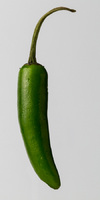 Serrano Pepper<br><br>
<a href="http://pixels.com/featured/serrano-pepper-thomas-parsons.html">Purchase Prints</a>