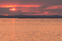 Day's End on Tilghman Island<br><br>
<a href="http://pixels.com/featured/days-end-on-tilghman-island-thomas-parsons.html">Purchase Prints</a>